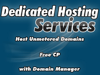 Bargain dedicated server services